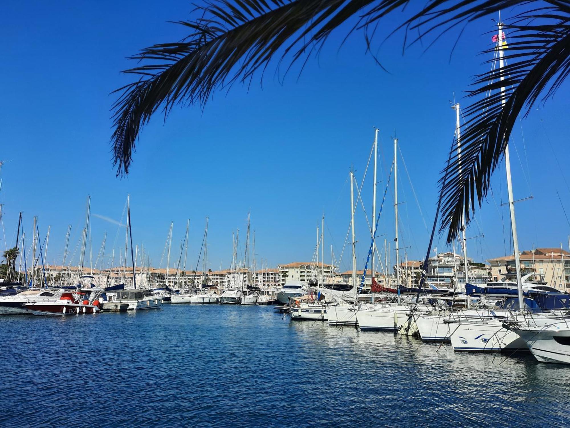 Apartament Coeur Marina Climatise Terrasse Parking Fréjus Zewnętrze zdjęcie